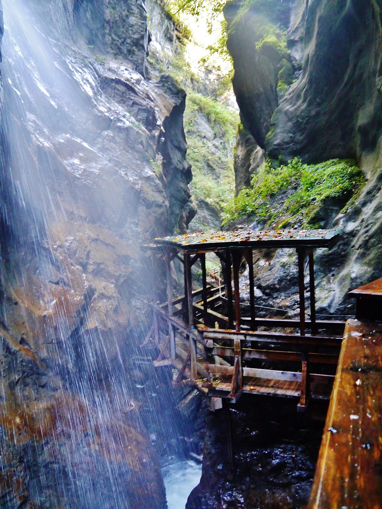 Holzstege durch die Schlucht